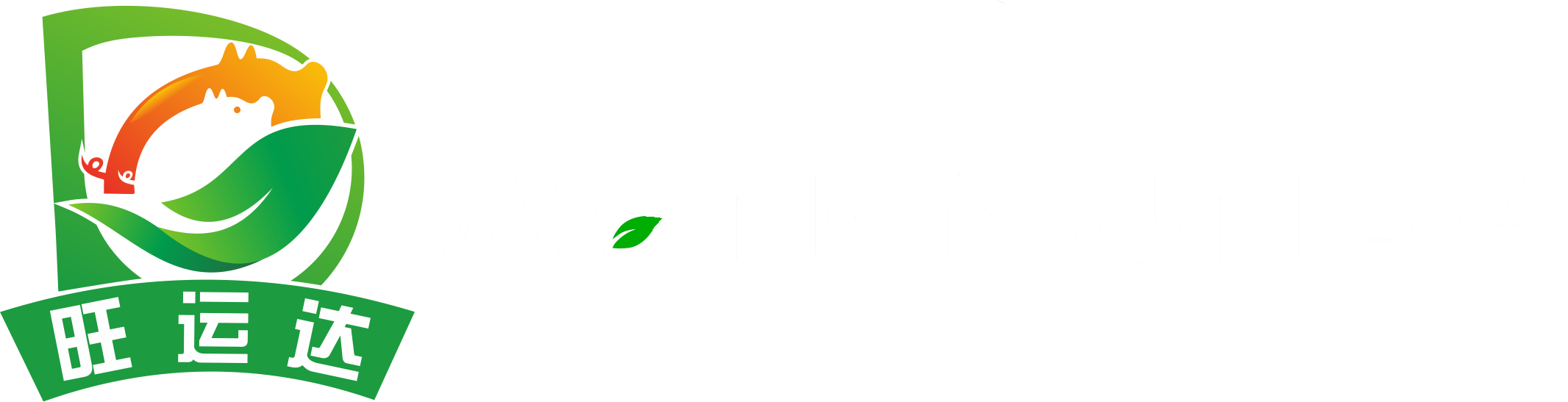 河南旺运达物流有限公司